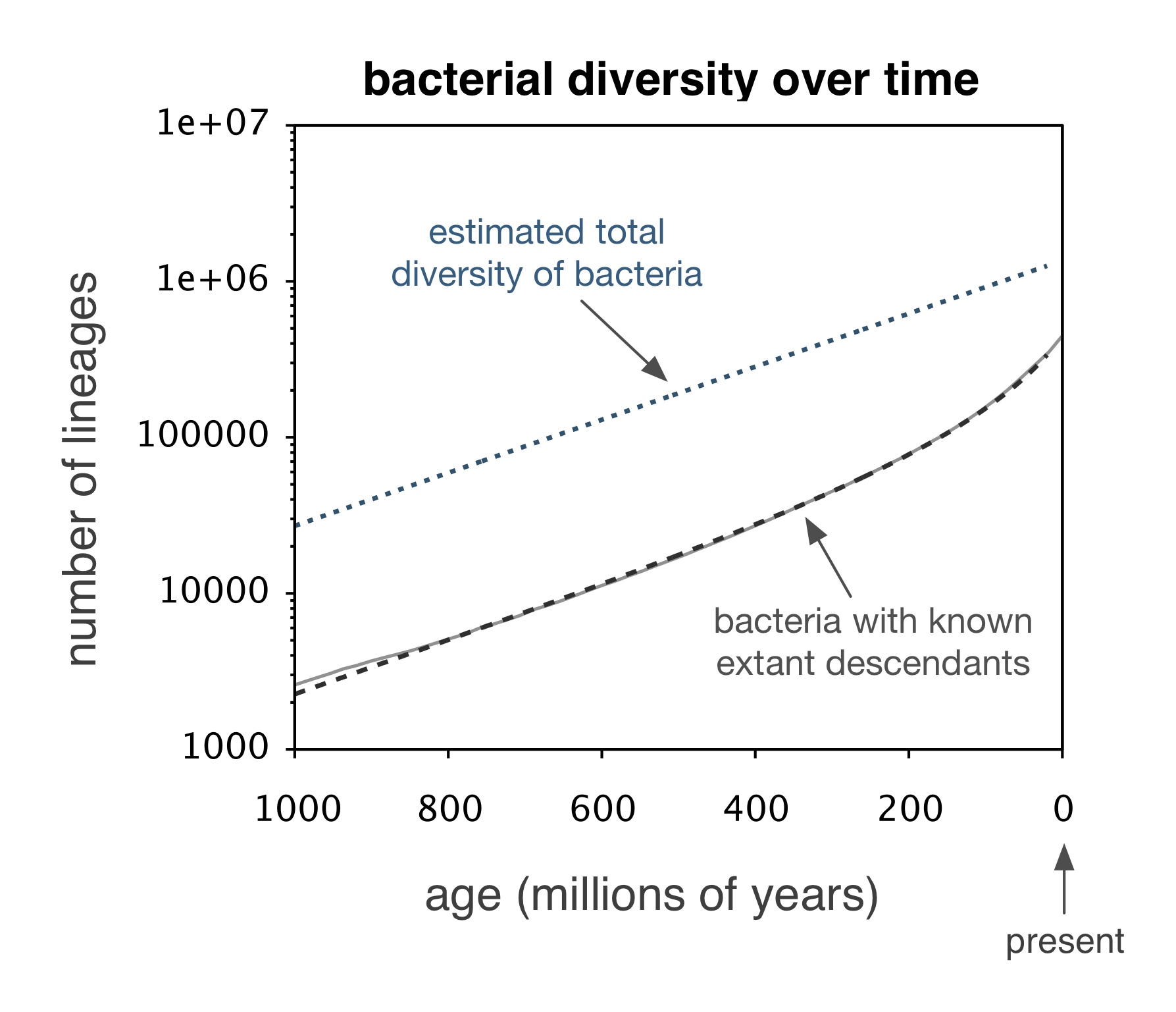 bacterial diversity through time